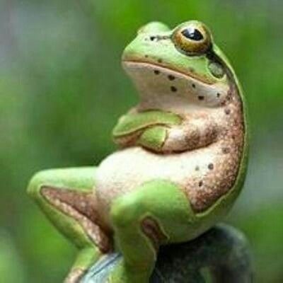 Keiichirou Koyano's Website