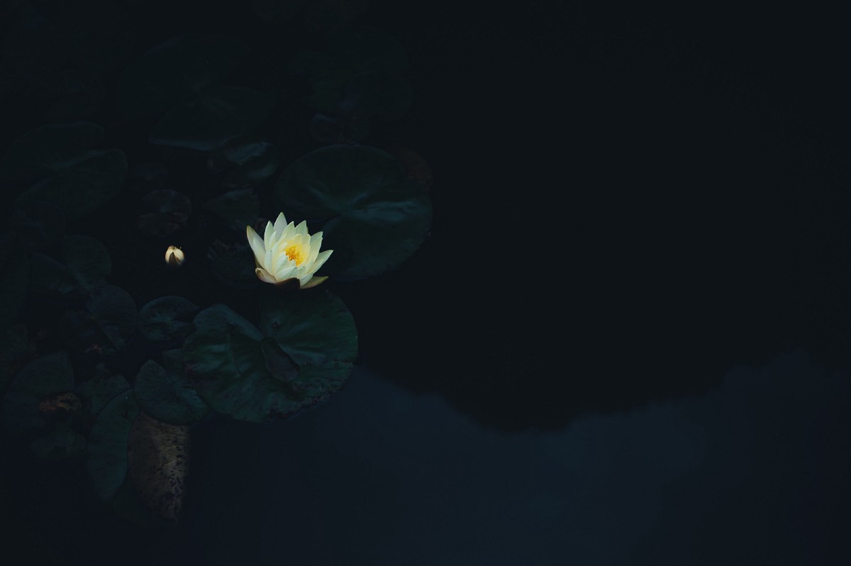 Keiichirou Koyano's Website