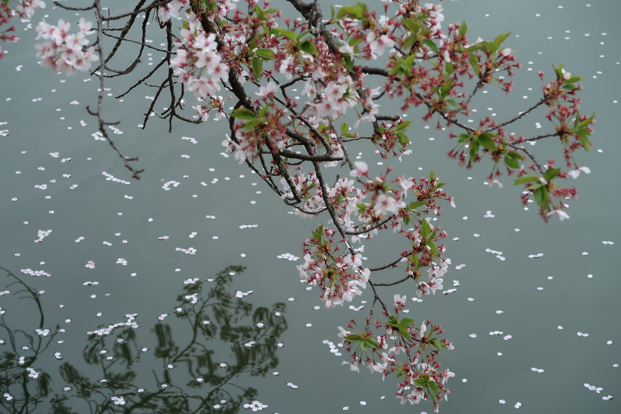 Keiichirou Koyano's Website