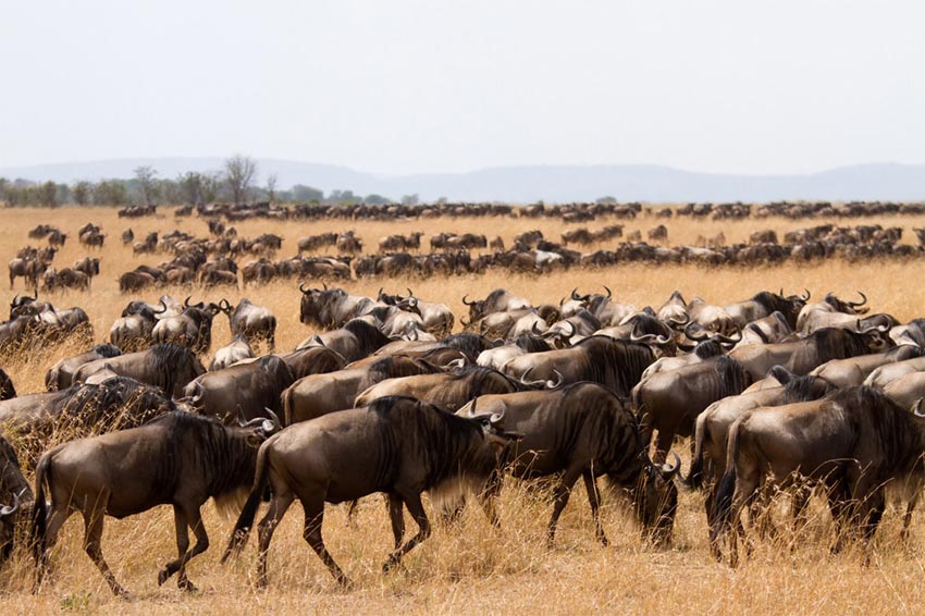 Keiichirou Koyano's Website