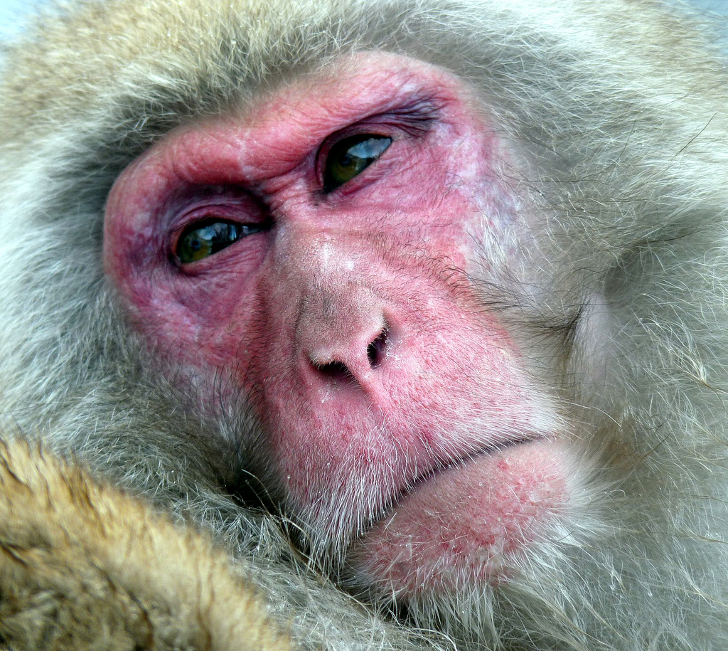 Keiichirou Koyano's Website