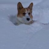 気が付いた時にわかるため