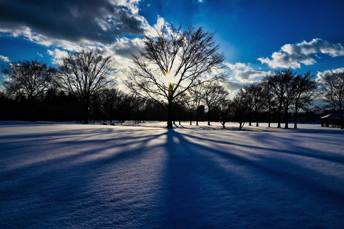 Keiichirou Koyano's Website