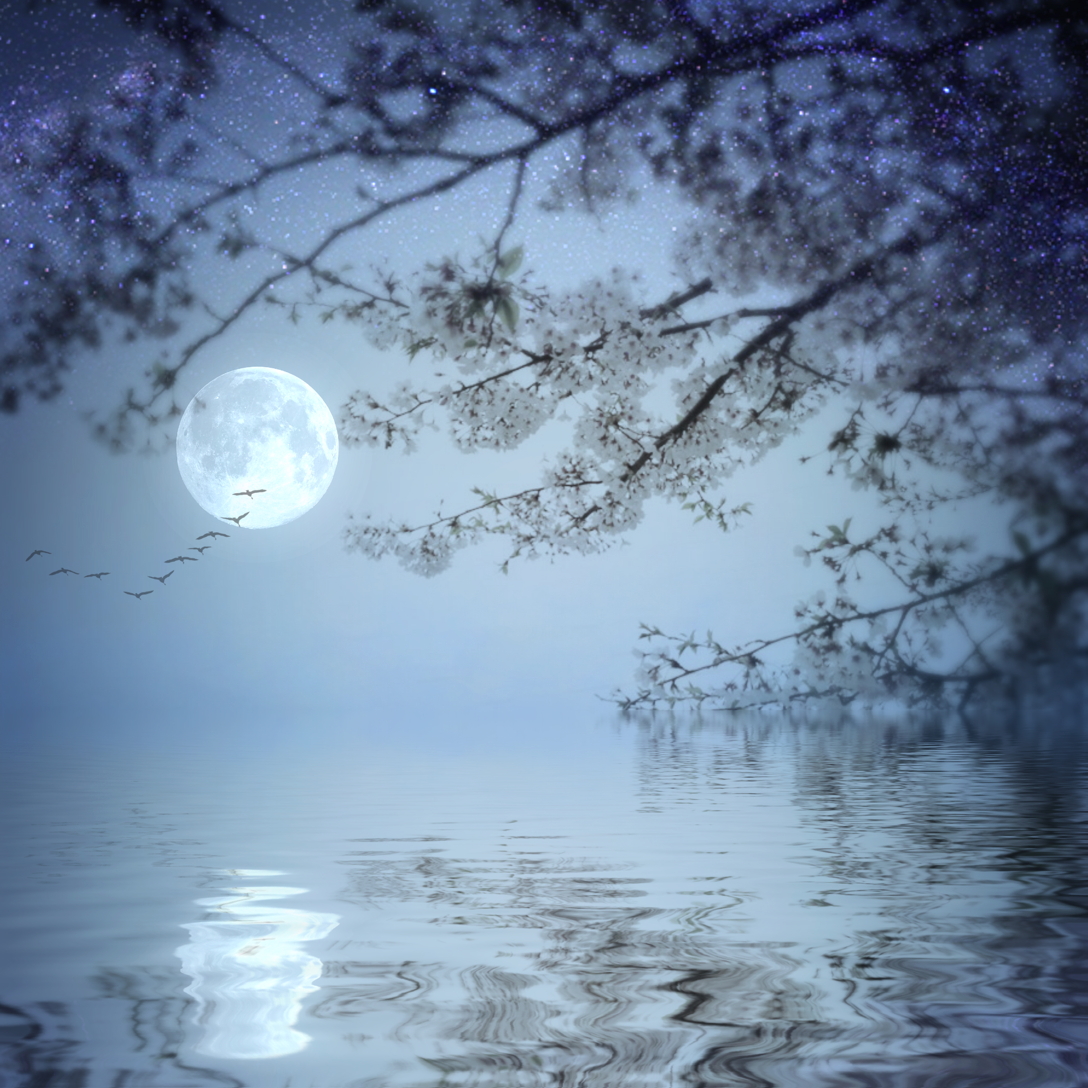 Keiichirou Koyano's Website